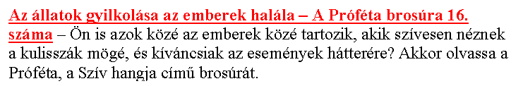 Sz�vegdoboz: Az �llatok gyilkol�sa az emberek hal�la – A Pr�f�ta bros�ra 16. sz�ma – �n is azok k�z� az emberek k�z� tartozik, akik sz�vesen n�znek a kulissz�k m�g�, �s k�v�ncsiak az esem�nyek h�tter�re? Akkor olvassa a Pr�f�ta, a Sz�v hangja c�m� bros�r�t.